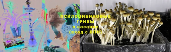ПСИЛОЦИБИНОВЫЕ ГРИБЫ Абдулино