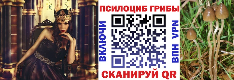 закладки  Шумерля  Псилоцибиновые грибы GOLDEN TEACHER 